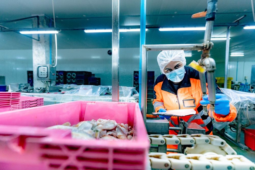 Desafíos del Sector Cárnico en 2026: Cómo SIDOM Suite Mitiga los Puntos Críticos en la Exportación